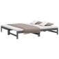 vidaXL Tagesbett Ausziehbar Grau 2x(100x200) cm Massivholz Kiefer vidaXL Tagesbett Ausziehbar Grau 2x(100x200) cm Massivholz Kiefer