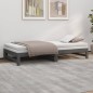 vidaXL Tagesbett Ausziehbar Grau 2x(100x200) cm Massivholz Kiefer vidaXL Tagesbett Ausziehbar Grau 2x(100x200) cm Massivholz Kiefer