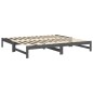 vidaXL Tagesbett Ausziehbar Grau 2x(100x200) cm Massivholz Kiefer vidaXL Tagesbett Ausziehbar Grau 2x(100x200) cm Massivholz Kiefer
