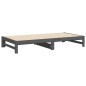vidaXL Tagesbett Ausziehbar Grau 2x(100x200) cm Massivholz Kiefer vidaXL Tagesbett Ausziehbar Grau 2x(100x200) cm Massivholz Kiefer