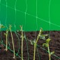 Nature Ranknetz Grün 2 x 5 m 6030430 Nature Ranknetz Grün 2 x 5 m 6030430