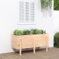 vidaXL Hochbeet 121x50x57 cm Massivholz Kiefer vidaXL Hochbeet 121x50x57 cm Massivholz Kiefer