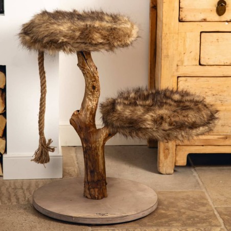 Designed by Lotte Kratzmöbel Aviva 50x50x68 cm Holz