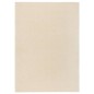 vidaXL Teppich Kurzflor 120x170 cm Creme vidaXL Teppich Kurzflor 120x170 cm Creme