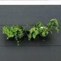 Nature Vertikales Kräuter- und Blumentopf-Set Nature Vertikales Kräuter- und Blumentopf-Set
