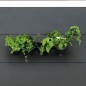 Nature Vertikales Kräuter- und Blumentopf-Set Nature Vertikales Kräuter- und Blumentopf-Set
