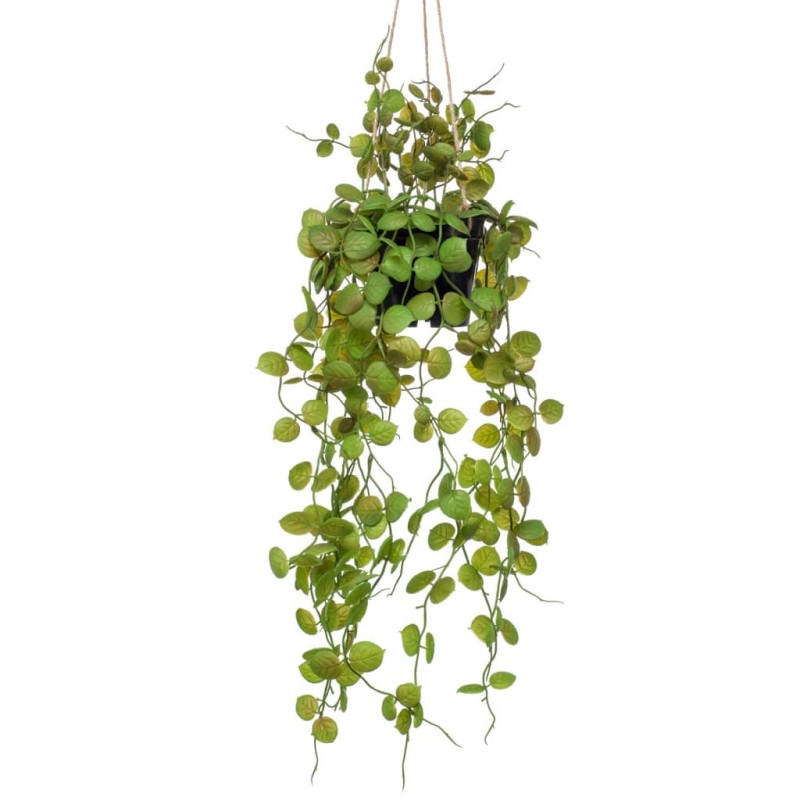 Emerald Künstlicher Ceropegia-Hängebusch im Topf 50 cm Emerald Künstlicher Ceropegia-Hängebusch im Topf 50 cm