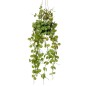 Emerald Künstlicher Ceropegia-Hängebusch im Topf 50 cm Emerald Künstlicher Ceropegia-Hängebusch im Topf 50 cm