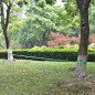 vidaXL Slackline 15 m x 50 mm 150 kg Grün vidaXL Slackline 15 m x 50 mm 150 kg Grün