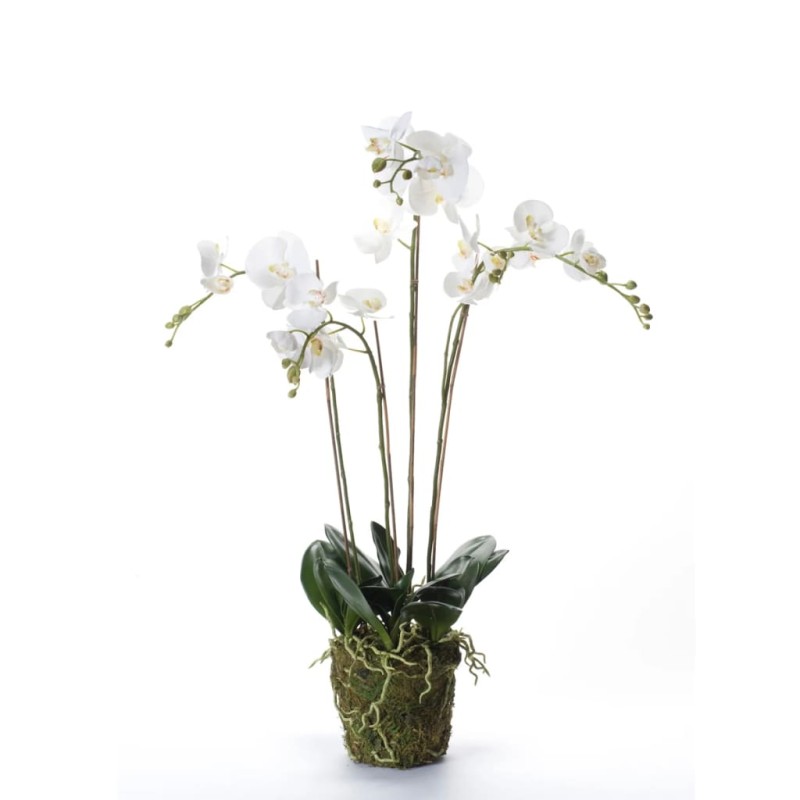 Emerald Kunstpflanze Phalaenopsis mit Moos Weiß 90 cm 20.355 Emerald Kunstpflanze Phalaenopsis mit Moos Weiß 90 cm 20.355