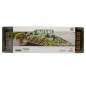 Nature Mini Gewächshaus Set 4x16 Zellen Nature Mini Gewächshaus Set 4x16 Zellen