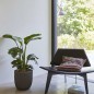 Capi Blumentopf Urban Tube Oval 54 x 52 cm Schwarz KBLT935 Capi Blumentopf Urban Tube Oval 54 x 52 cm Schwarz KBLT935