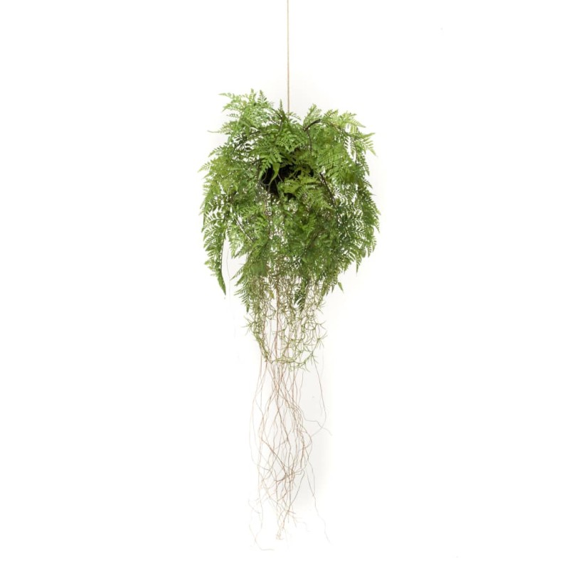 Emerald Künstlicher Farn mit Wurzeln Hängend 35 cm Emerald Künstlicher Farn mit Wurzeln Hängend 35 cm
