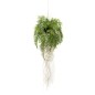 Emerald Künstlicher Farn mit Wurzeln Hängend 35 cm Emerald Künstlicher Farn mit Wurzeln Hängend 35 cm