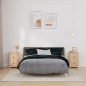 vidaXL Nachttische 2 Stk. 40x35x61,5 cm Massivholz Kiefer vidaXL Nachttische 2 Stk. 40x35x61,5 cm Massivholz Kiefer