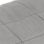 vidaXL Gewichtsdecke Grau 235x290 cm 11 kg Stoff vidaXL Gewichtsdecke Grau 235x290 cm 11 kg Stoff