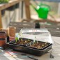Nature Frühbeet-Box mit Heizelement 38x24x19cm Nature Frühbeet-Box mit Heizelement 38x24x19cm