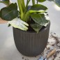 Capi Blumentopf Urban Tube Oval 35 x 34 cm Schwarz KBLT932 Capi Blumentopf Urban Tube Oval 35 x 34 cm Schwarz KBLT932