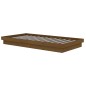 vidaXL Massivholzbett Honigbraun 100x200 cm vidaXL Massivholzbett Honigbraun 100x200 cm