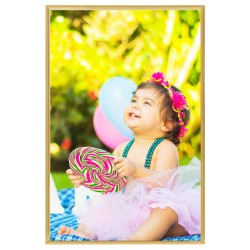 vidaXL Bilderrahmen Collage 5 Stk. für Wand Tisch Golden 42x59,4cm MDF