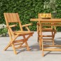 vidaXL Gartenstühle 2 Stk. Klappbar 55x61x90 cm Massivholz Teak vidaXL Gartenstühle 2 Stk. Klappbar 55x61x90 cm Massivholz Teak