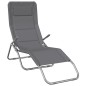 vidaXL Sonnenliegen 2 Stk. Grau Textilene & Pulverbeschichteter Stahl vidaXL Sonnenliegen 2 Stk. Grau Textilene & Pulverbeschichteter Stahl