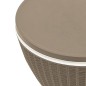 vidaXL 3-in-1 Tisch mit Eiskühler Hellbraun Polypropylen vidaXL 3-in-1 Tisch mit Eiskühler Hellbraun Polypropylen