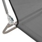 vidaXL Sonnenliegen Klappbar 2 Stk. Grau Textilene und Stahl vidaXL Sonnenliegen Klappbar 2 Stk. Grau Textilene und Stahl