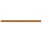 vidaXL Hochbeet 960x50x36 cm Cortenstahl vidaXL Hochbeet 960x50x36 cm Cortenstahl