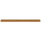 vidaXL Hochbeet 770x50x36 cm Cortenstahl vidaXL Hochbeet 770x50x36 cm Cortenstahl