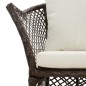 vidaXL 2-tlg. Garten-Lounge-Set mit Kissen Braun Poly Rattan vidaXL 2-tlg. Garten-Lounge-Set mit Kissen Braun Poly Rattan
