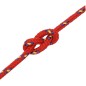 vidaXL Bootsseil Rot 3 mm 250 m Polypropylen vidaXL Bootsseil Rot 3 mm 250 m Polypropylen