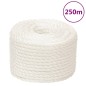 vidaXL Arbeitsseil Weiß 12 mm 250 m Polypropylen vidaXL Arbeitsseil Weiß 12 mm 250 m Polypropylen