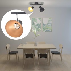 vidaXL Deckenlampe für 2 Glühbirnen E27 Schwarz und Gold