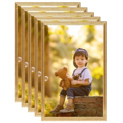 vidaXL Bilderrahmen Collage 5 Stk. für Wand Tisch Golden 59,4x84cm MDF