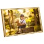 vidaXL Bilderrahmen Collage 5 Stk. für Wand Tisch Golden 59,4x84cm MDF vidaXL Bilderrahmen Collage 5 Stk. für Wand Tisch Golden 59,4x84cm MDF