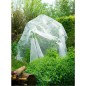 Nature Insektenschutznetz gegen Apfelwickler 6030450 Nature Insektenschutznetz gegen Apfelwickler 6030450