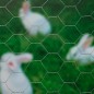 Nature Sechseckgeflecht 0,5x2,5 m 25 mm Verzinkter Stahl Nature Sechseckgeflecht 0,5x2,5 m 25 mm Verzinkter Stahl