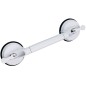 RIDDER Teleskop-Haltegriff mit Saugnapf 12 cm 100 kg A0150301 RIDDER Teleskop-Haltegriff mit Saugnapf 12 cm 100 kg A0150301