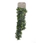 Emerald Künstliche Crassula 80 cm Emerald Künstliche Crassula 80 cm