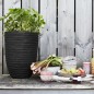 Capi Blumentopf Nature Row Elegant Niedrig 36x47 cm Schwarz KBLRO782 Capi Blumentopf Nature Row Elegant Niedrig 36x47 cm Schwarz KBLRO782