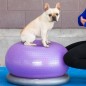 FitPAWS Fitnessball für Hunde TRAX Donut 55 cm Lila FitPAWS Fitnessball für Hunde TRAX Donut 55 cm Lila
