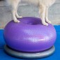FitPAWS Fitnessball für Hunde TRAX Donut 55 cm Lila FitPAWS Fitnessball für Hunde TRAX Donut 55 cm Lila