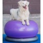 FitPAWS Fitnessball für Hunde TRAX Donut 55 cm Lila FitPAWS Fitnessball für Hunde TRAX Donut 55 cm Lila