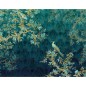 Komar Fototapete Paradis 350x260 cm Komar Fototapete Paradis 350x260 cm