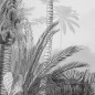 Komar Fototapete Lac Tropical Schwarz & Weiß 200x270 cm Komar Fototapete Lac Tropical Schwarz & Weiß 200x270 cm