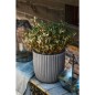 Capi Blumentopf Urban Tube 35x34 cm Dunkelgrau Capi Blumentopf Urban Tube 35x34 cm Dunkelgrau