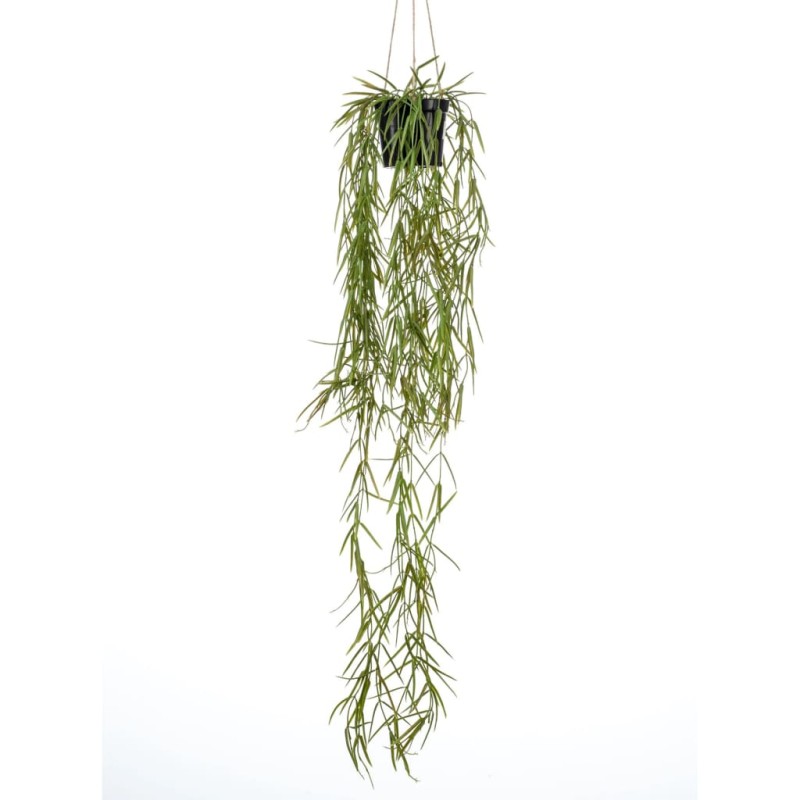 Emerald Kunstpflanze Hoya Hängend im Topf 80 cm Emerald Kunstpflanze Hoya Hängend im Topf 80 cm