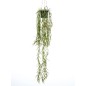 Emerald Kunstpflanze Hoya Hängend im Topf 80 cm Emerald Kunstpflanze Hoya Hängend im Topf 80 cm