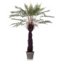 Emerald Kunstpflanze Dicksonia Baumfarne im Topf 125 cm Emerald Kunstpflanze Dicksonia Baumfarne im Topf 125 cm